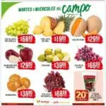 folleto soriana frutas verduras 101224 2