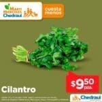 chedraui ofertas 160724 4