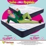 folleto julio reglado 250724 36