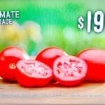 Ofertas Martes y Miércoles del Campo Soriana 27 y 28 de agosto 2024