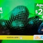 Ofertas Chedraui Martimiércoles de frutas y verduras 10 y 11 de septiembre 2024