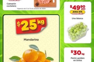 Folleto Bodega Aurrerá Tianguis de frutas y verduras al 17 de octubre 2024