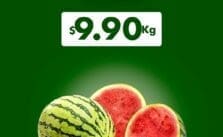 Miércoles de Plaza La Comer y Fresko 9 de octubre de 2024 1 Ofertas Miércoles de Plaza La Comer y Fresko 9 de octubre de 2024