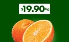 Miércoles de Plaza La Comer y Fresko 20 de noviembre 2024 1 Ofertas Miércoles de Plaza La Comer y Fresko 20 de noviembre 2024