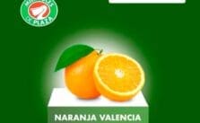 Miércoles de Plaza La Comer y Fresko 4 de diciembre 2024 1 Miércoles de Plaza La Comer y Fresko 4 de diciembre 2024