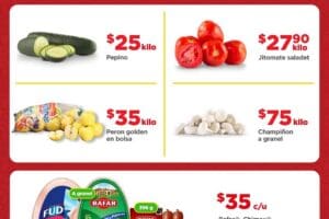 Folleto Bodega Aurrerá Tianguis de frutas y verduras al 8 de mayo 2025
