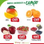 folleto soriana martes miercoles campo 060525 2