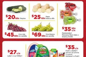 Folleto Bodega Aurrerá Tianguis de frutas y verduras al 10 de julio 2025