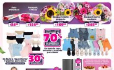 Folleto Soriana A Mamá la Apoyamos con Todo al 13 de mayo 2026